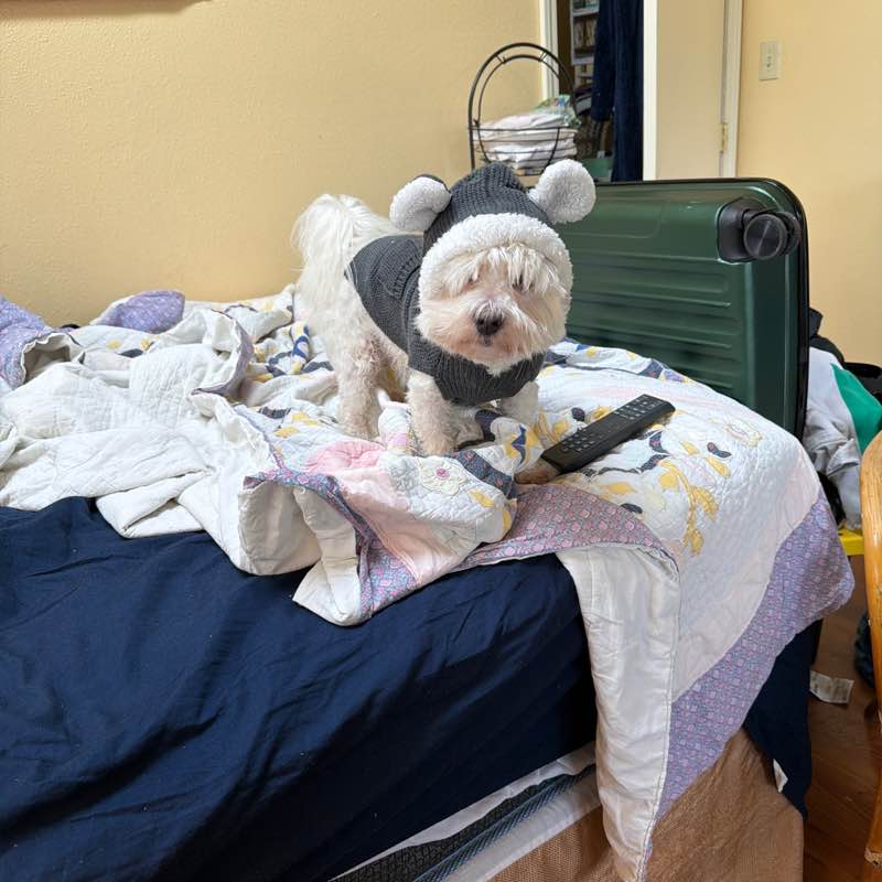 lesliecamdenflemingiv.lf post 1