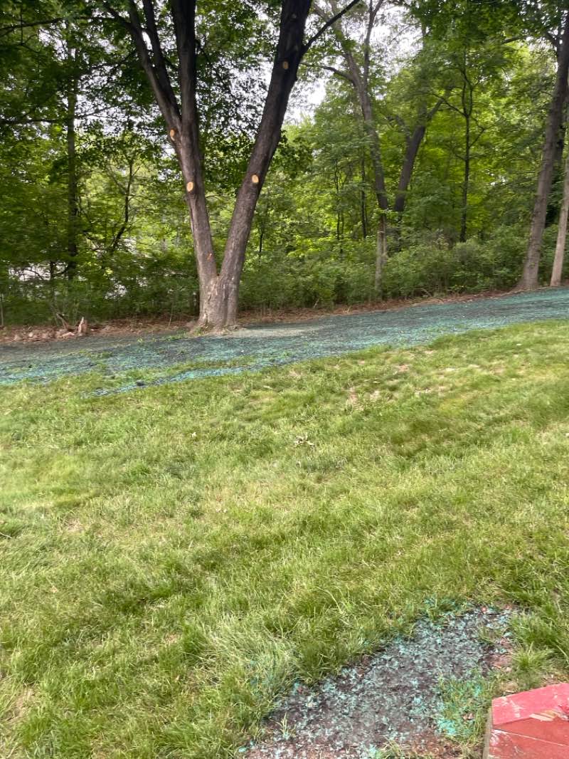 walking near me in Franklin Delano Roosevelt State Park in spring