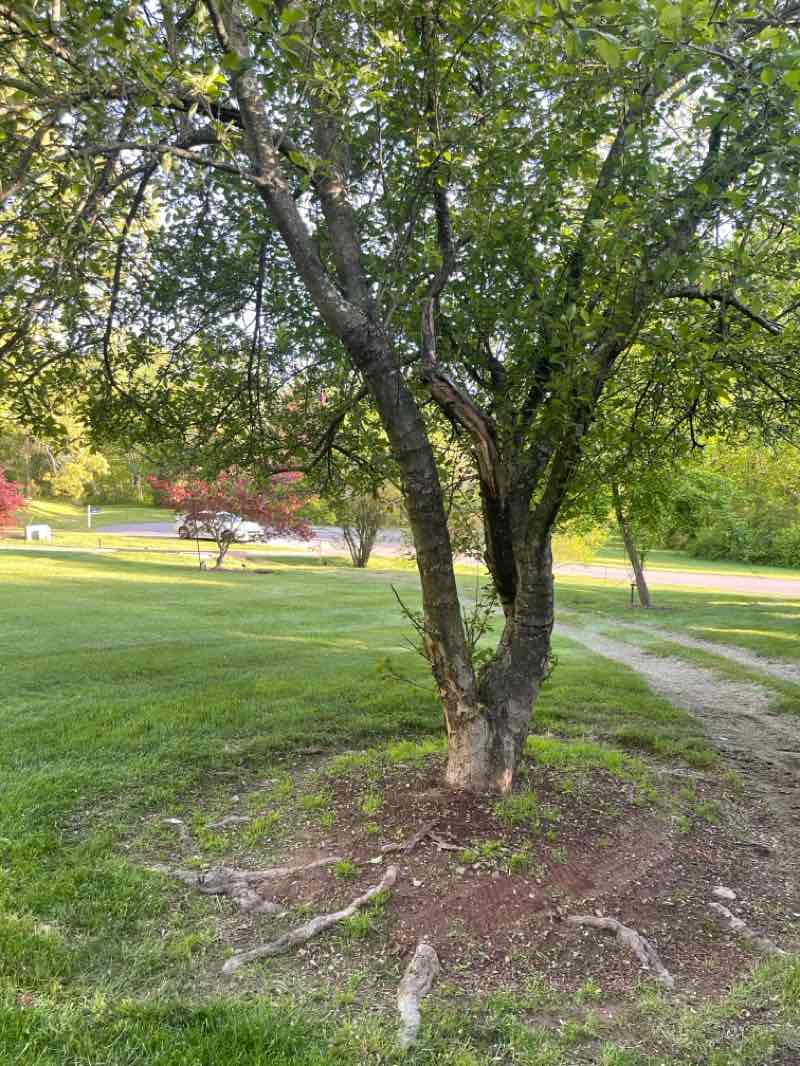 walking near me in Stewart State Forest in spring
