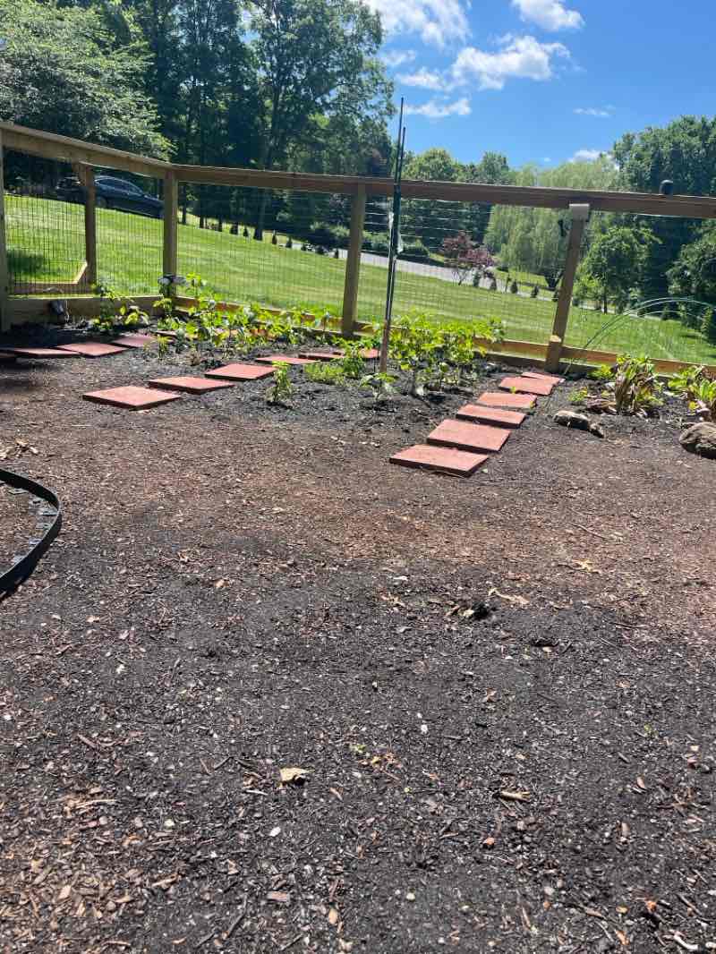 walking near me in Schunnemunk State Park in summer