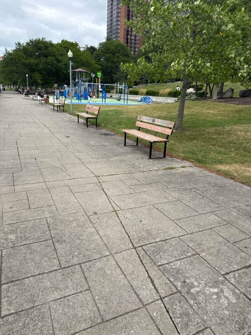 walking near me in Wilson Park in summer