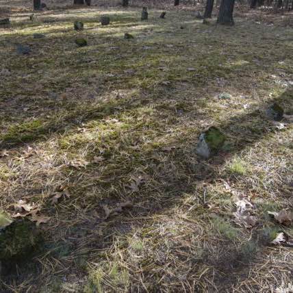 Peter 🏴󠁧󠁢󠁥󠁮󠁧󠁿🏴󠁧󠁢󠁥󠁮󠁧󠁿🏴󠁧󠁢󠁥󠁮󠁧󠁿🏴󠁧󠁢󠁥󠁮󠁧󠁿🏴󠁧󠁢󠁥󠁮󠁧󠁿❤️❤️❤️❤️❤️ post 3