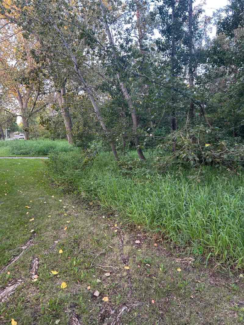 walking near me in Lacombe Park Lake in summer