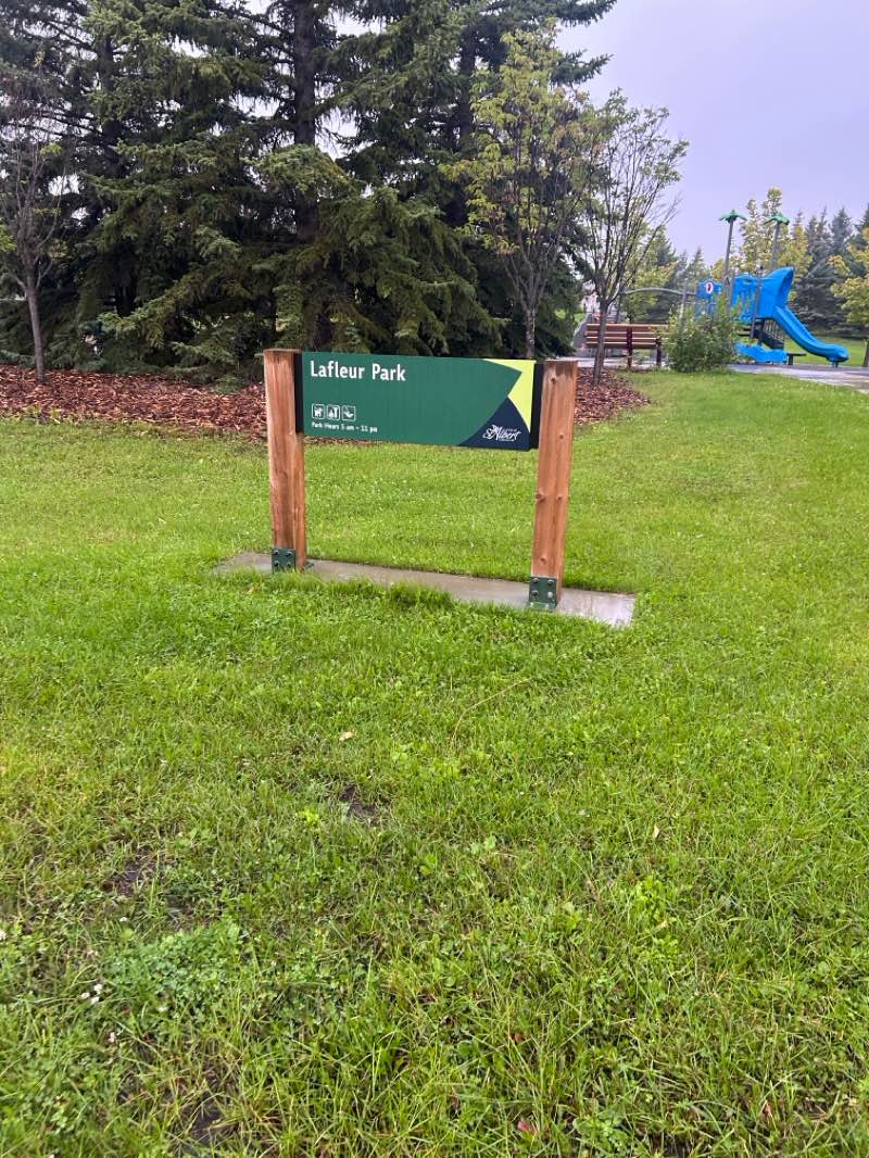 walking near me in Lacombe Park Lake in summer