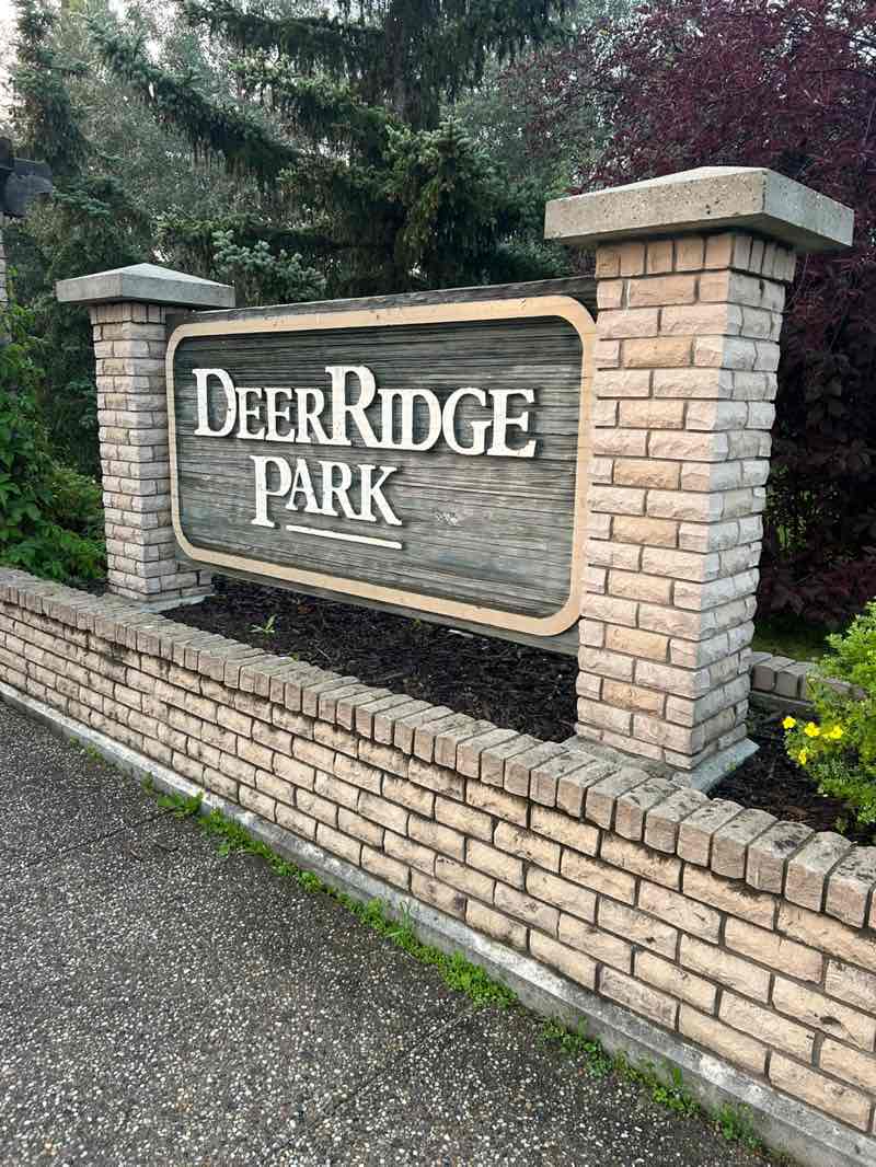 walking near me in Deer Ridge Park in summer