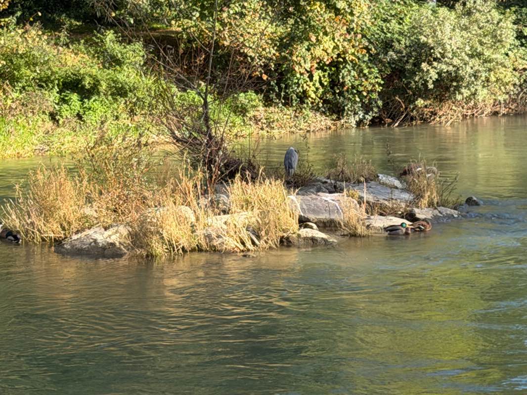 walking near me in Brüglingen in autumn