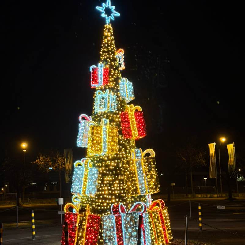 Rose,🍀🌹 🌹🌹🌹🌹🌹🌹 🌹 💁‍♀️ Martin🇨🇭 post image