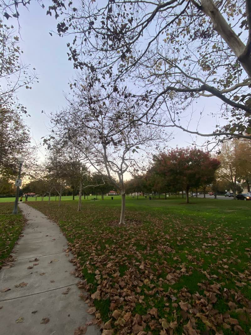 walking near me in Nelson Park in autumn
