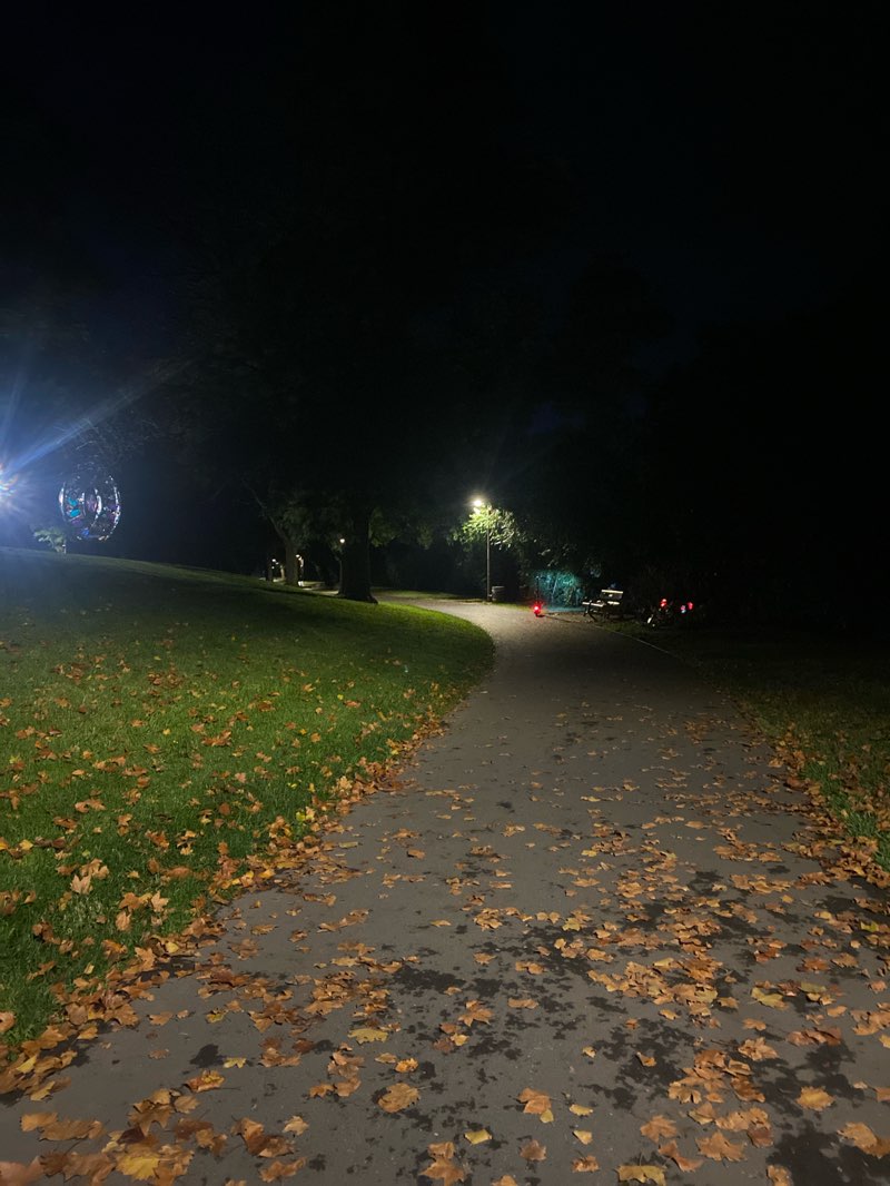 walking near me in Sycamore Park in autumn