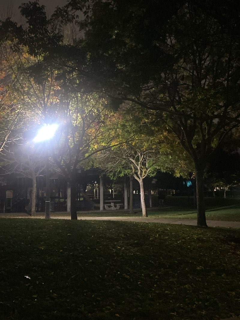 walking near me in Unity Park in autumn