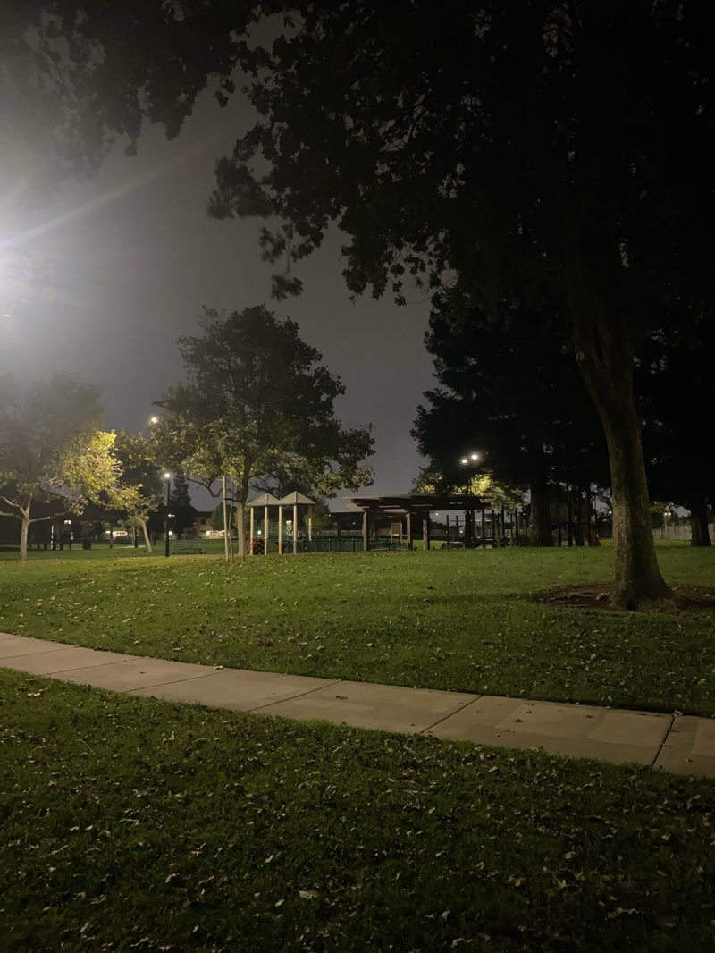 walking near me in South L Fung Park in autumn