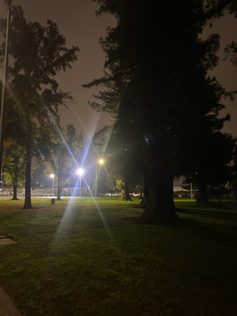 walking near me in Sherwood Forest Park in winter