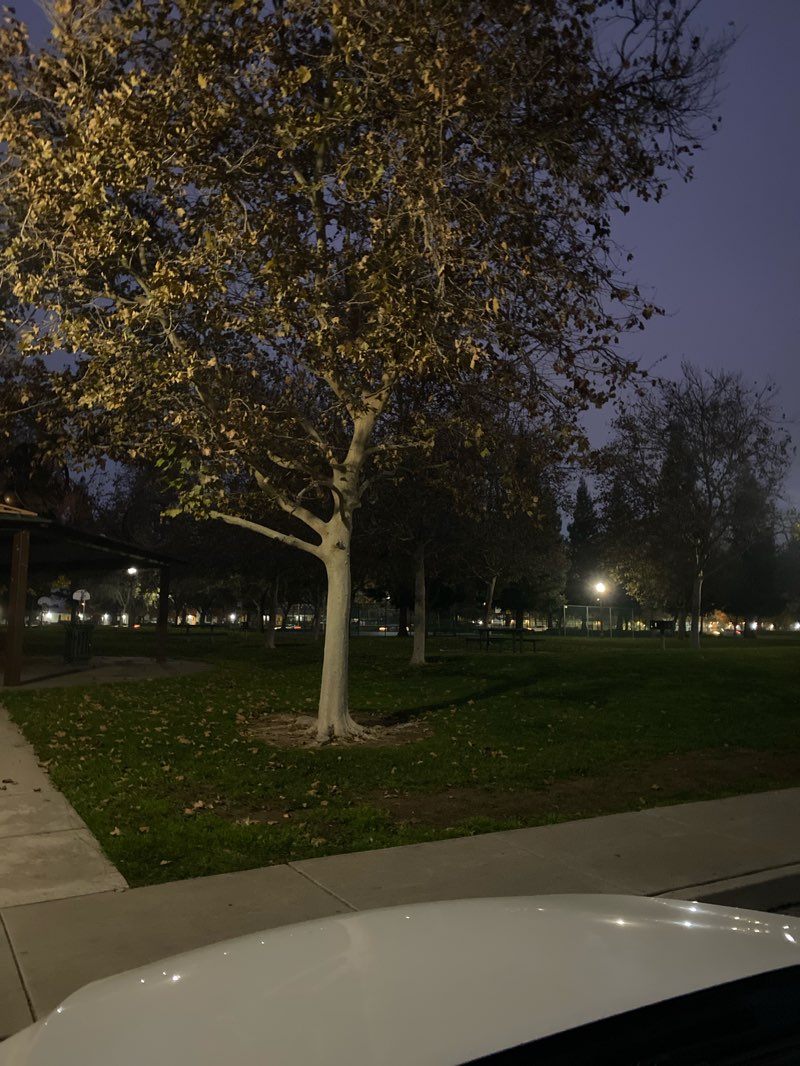 walking near me in Matt Equinoa Park in winter