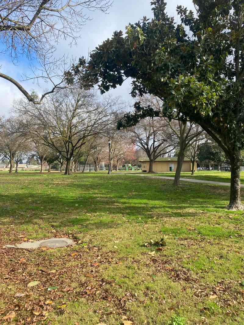 walking near me in Wesson Ranch Park in winter