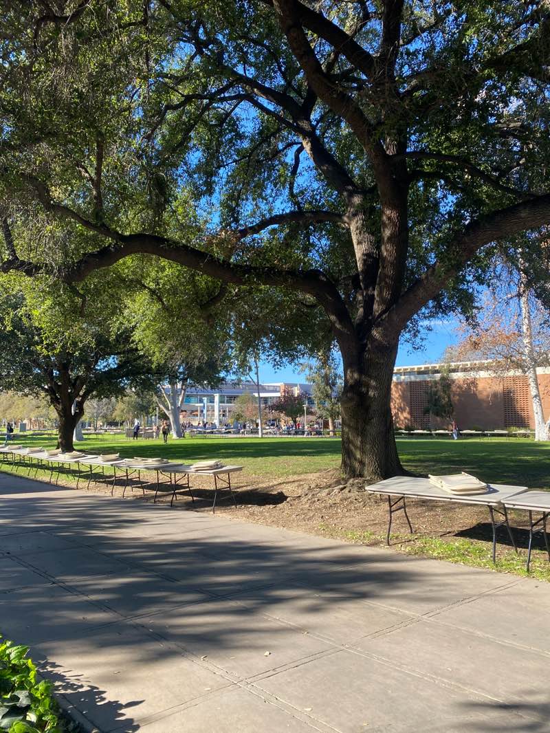 walking near me in Highlander Lawn Park in winter