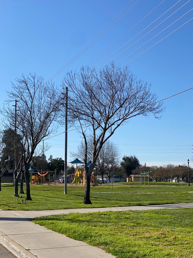 walking near me in riverside park in winter