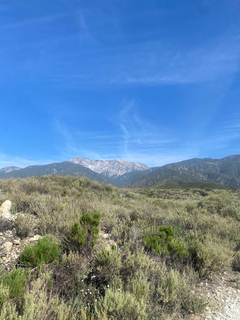 walking near me in North Etiwanda Preserve in spring