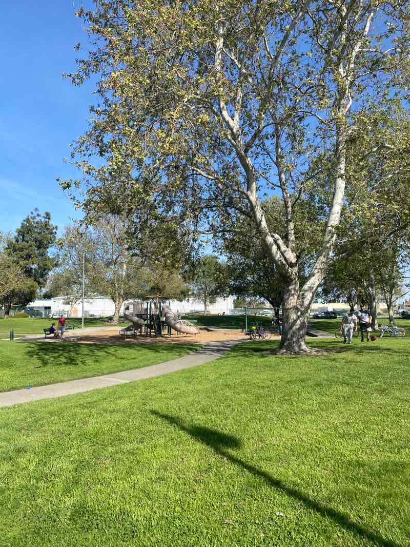 walking near me in Buckley Cove Park in spring