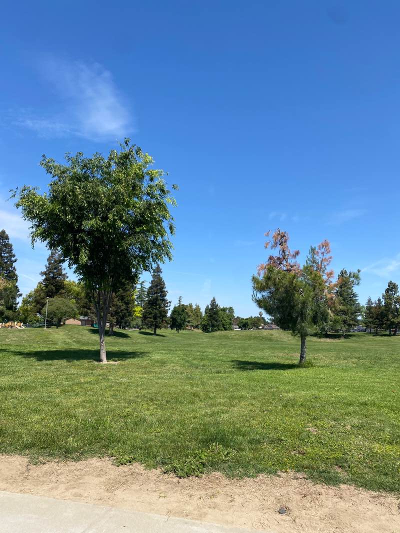 walking near me in Shasta Park in spring