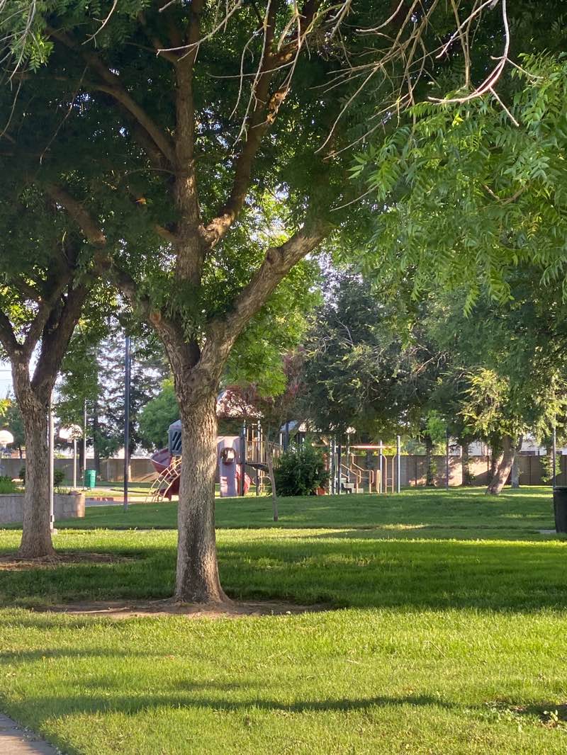 walking near me in Wincanton Park in summer