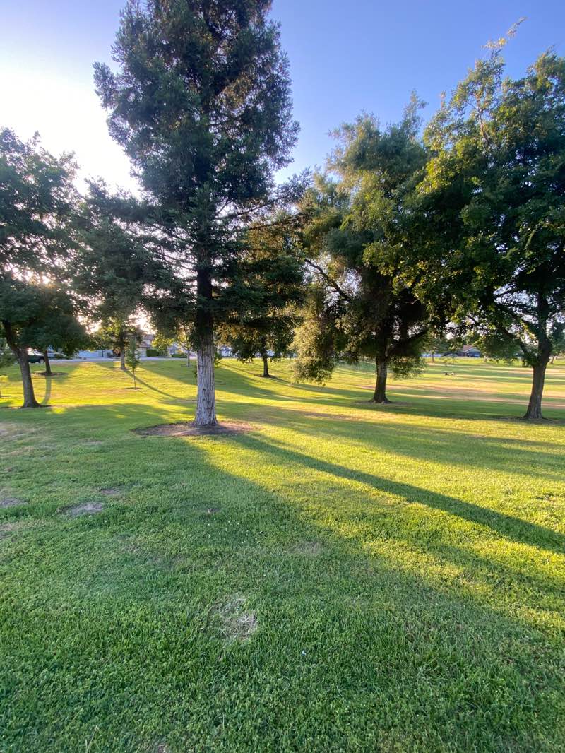 walking near me in Cotta Way Park in summer