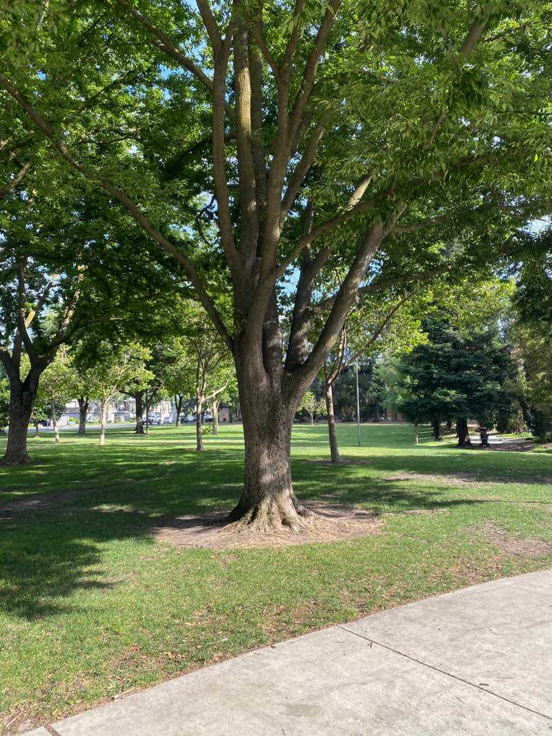 walking near me in Union Road Park in summer