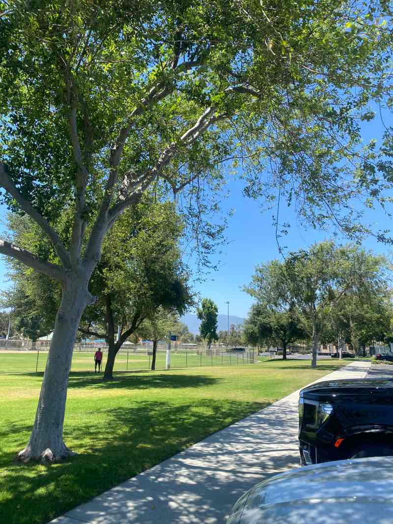 walking near me in Jack Bulik Park in summer
