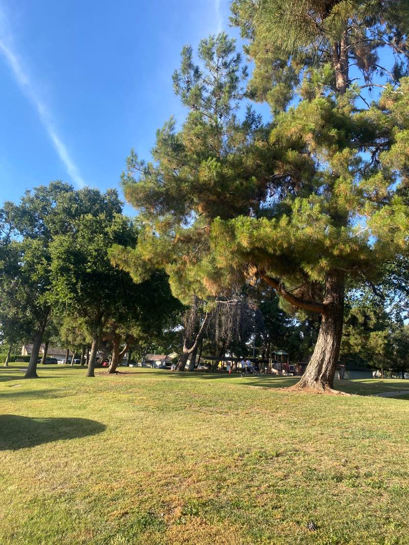walking near me in Valverde Park in summer