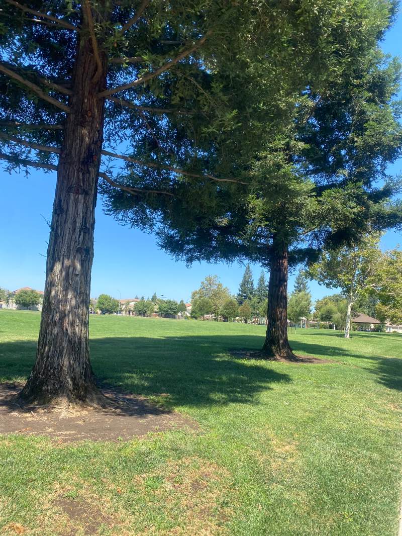 walking near me in South L Fung Park in summer