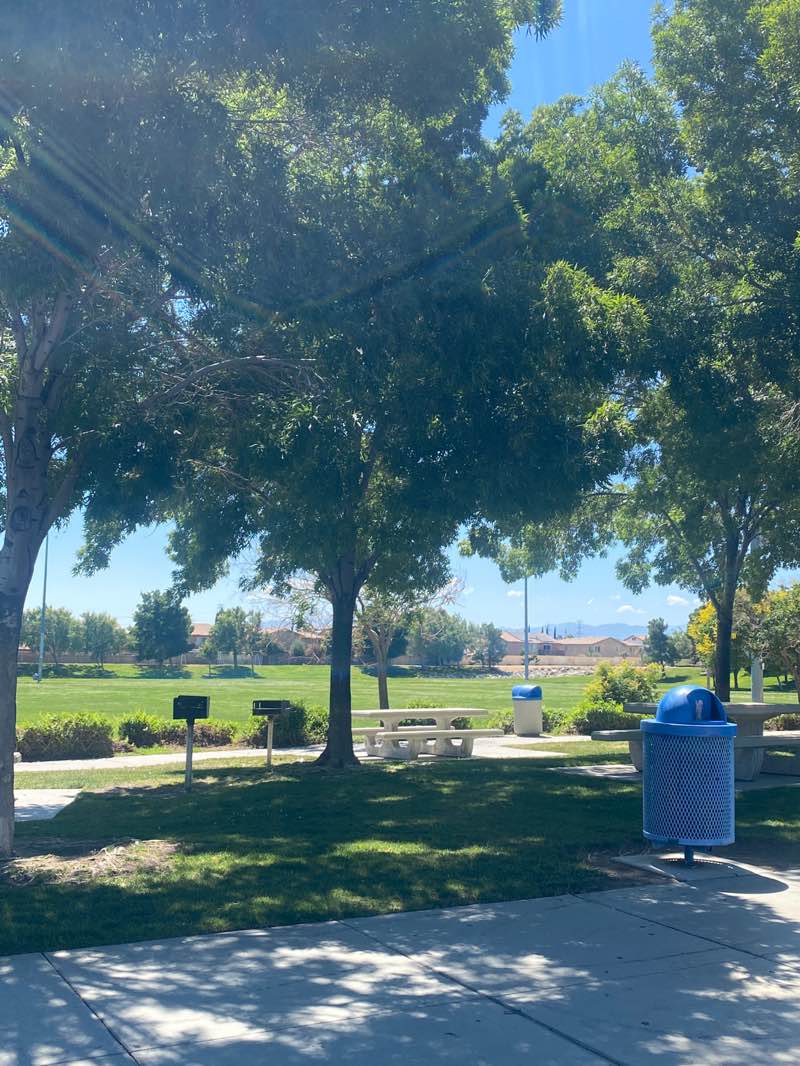 walking near me in Mesa Linda Park in summer