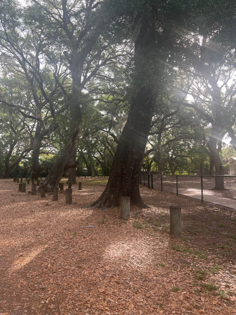 walking near me in J. C. Handly Sports Complex in winter