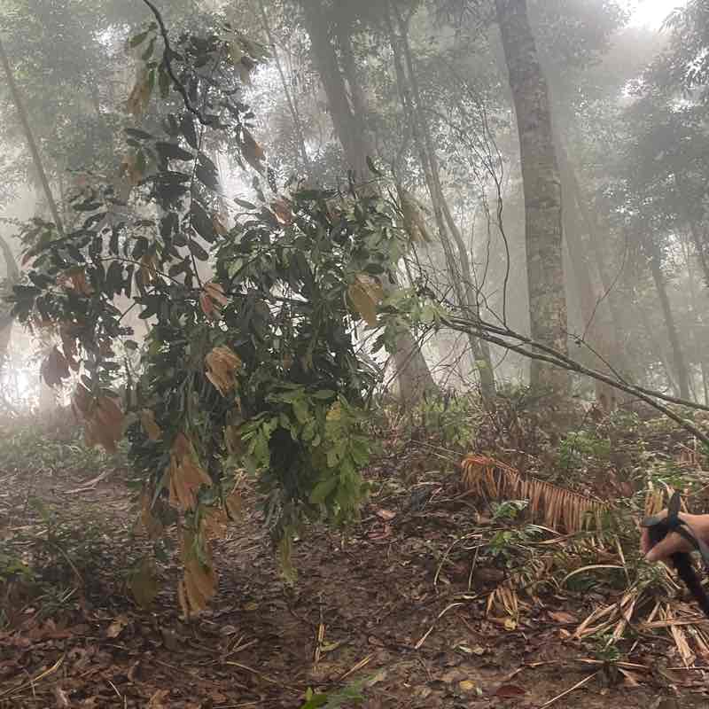 MY - Chew Bee Suan post 1