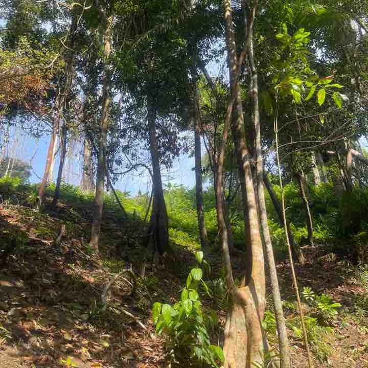 MY - Chew Bee Suan post 1