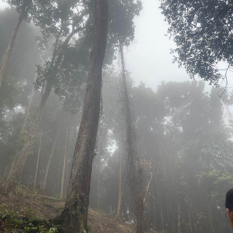 MY - Chew Bee Suan post 2