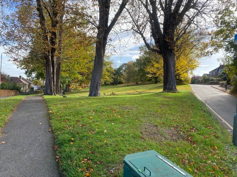 walking near me in Broomhill Common in autumn