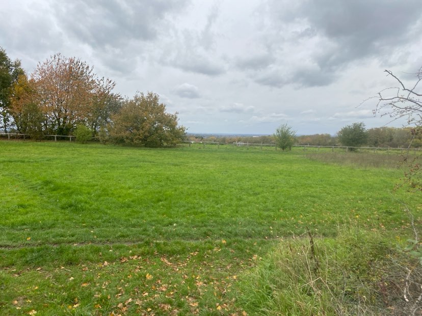 walking near me in Chelsfield Green in autumn
