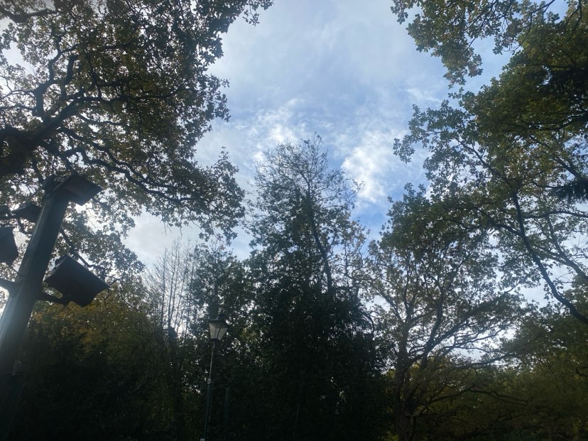 walking near me in Farnborough Common in autumn