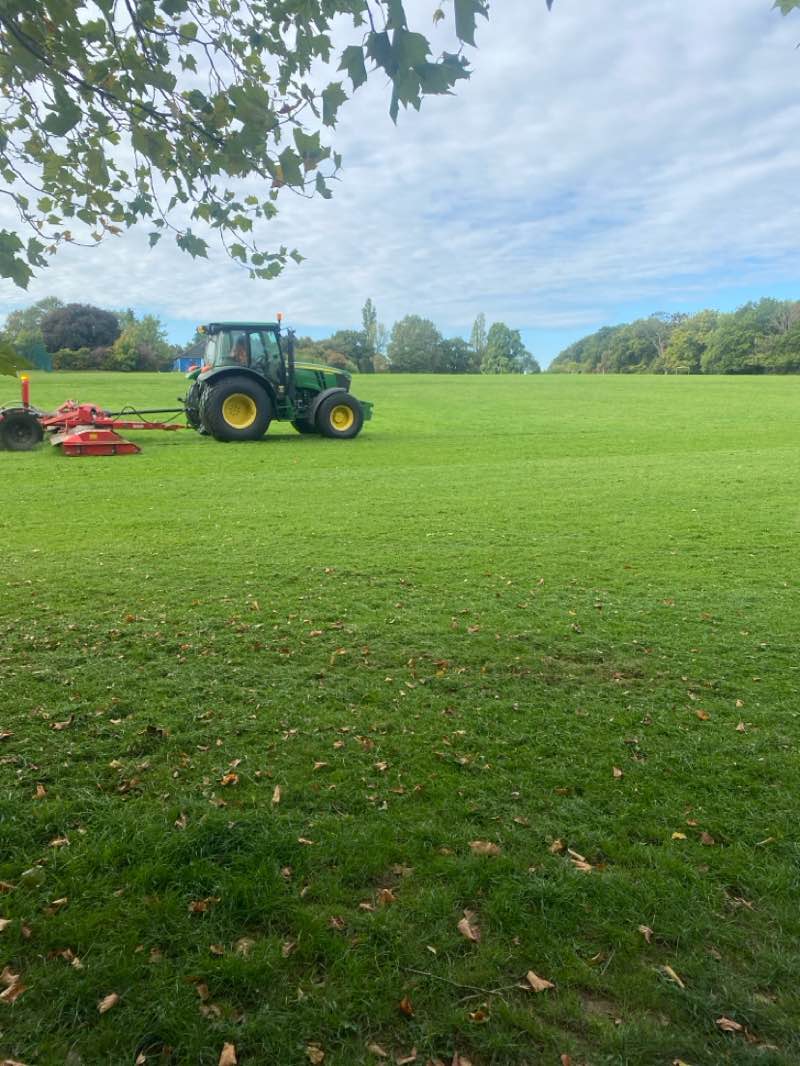 walking near me in Poverest Park in autumn