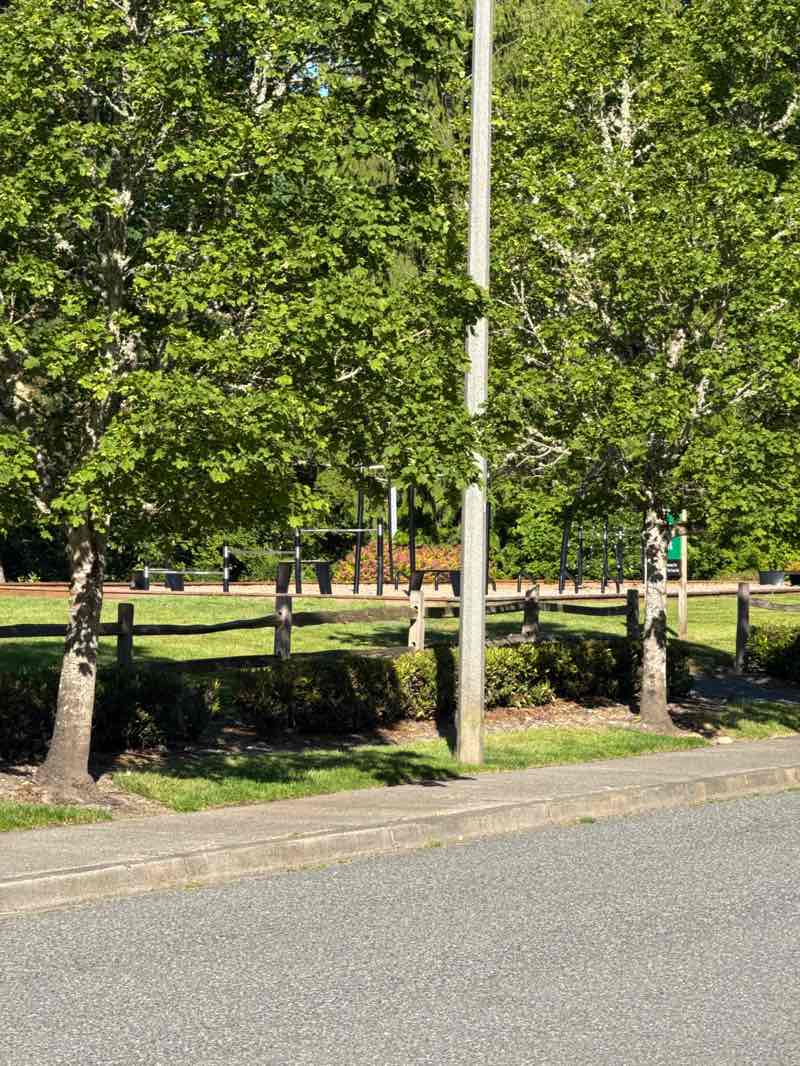 walking near me in Hamilton Park in summer