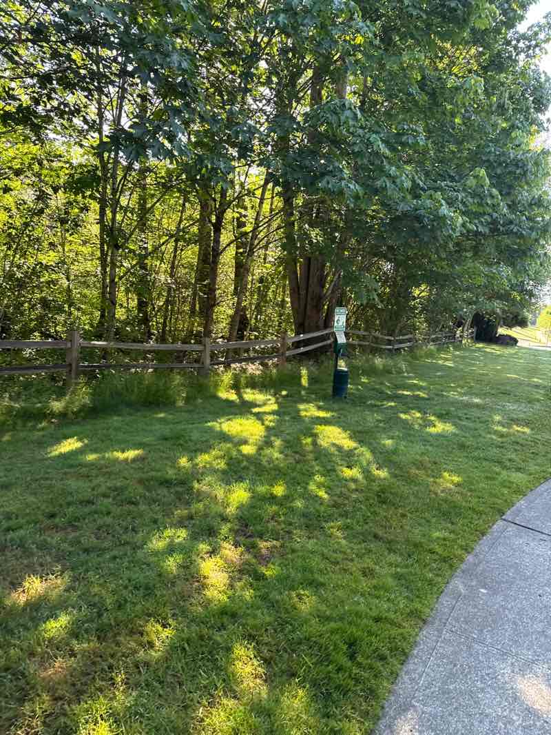 walking near me in Mountain View Park in summer