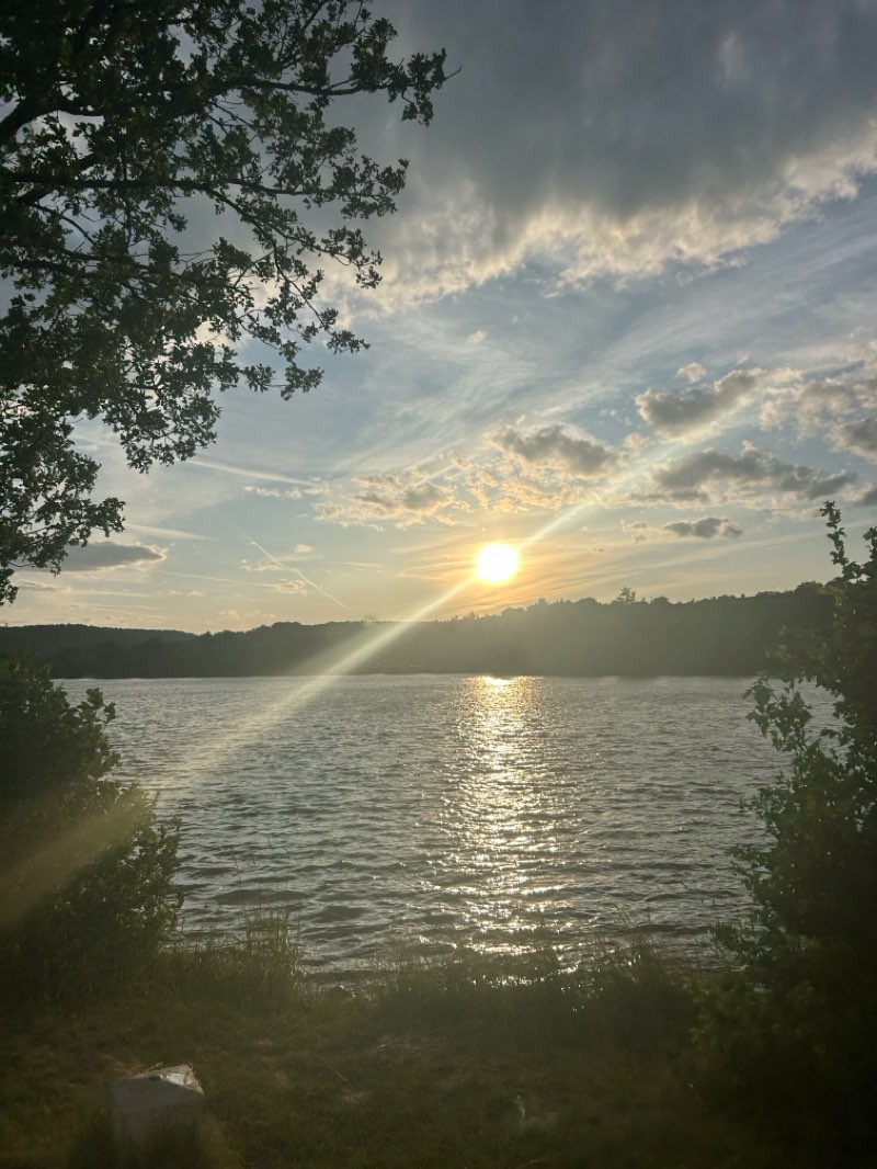 walking near me in Donaupark in summer