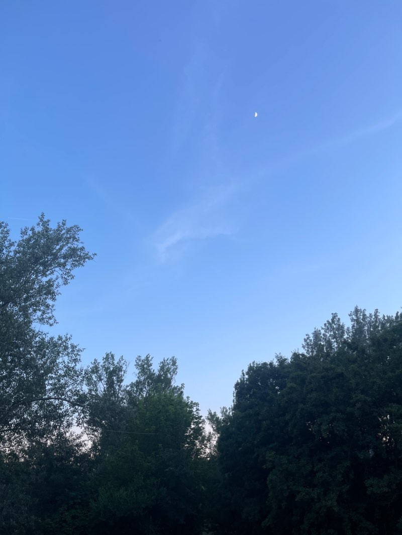 walking near me in Parco dei Cedri in winter