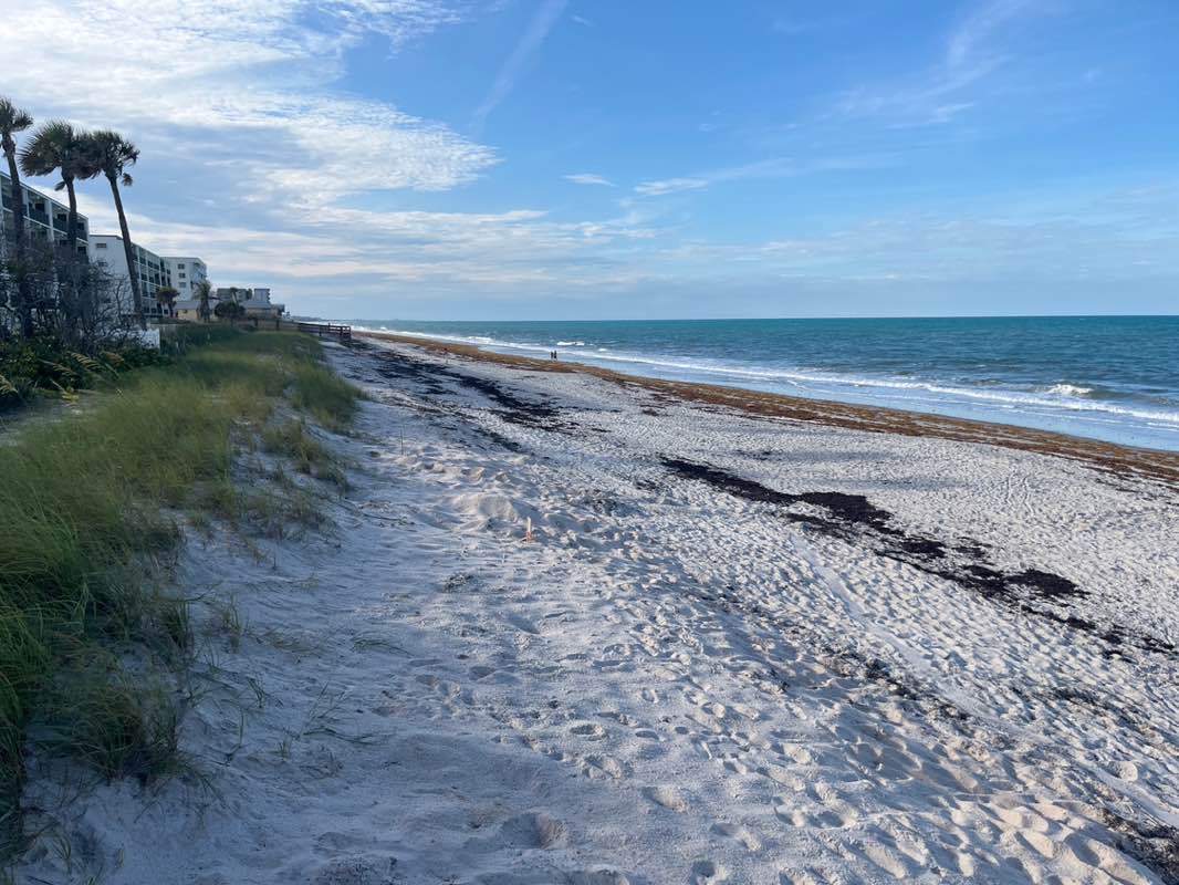 walking near me in Pelican Beach Park in summer