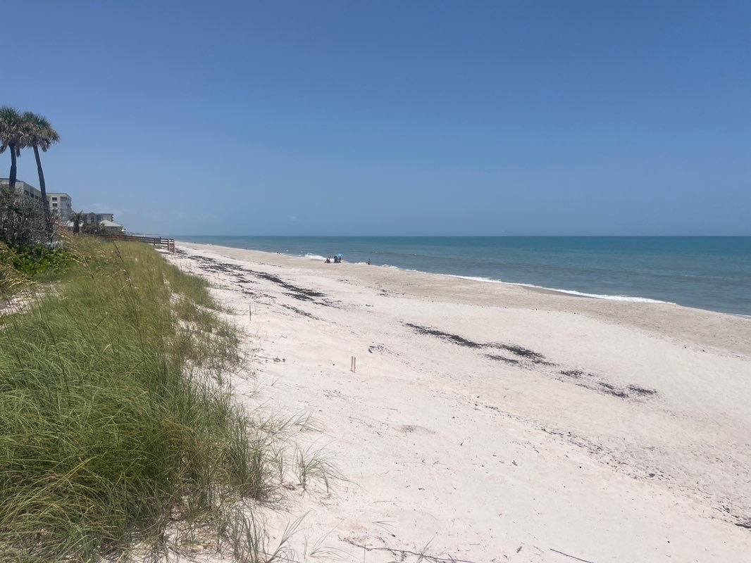 walking near me in Pelican Beach Park in summer