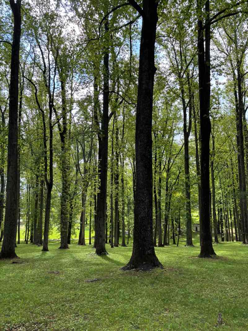 walking near me in Veteran's Park in spring