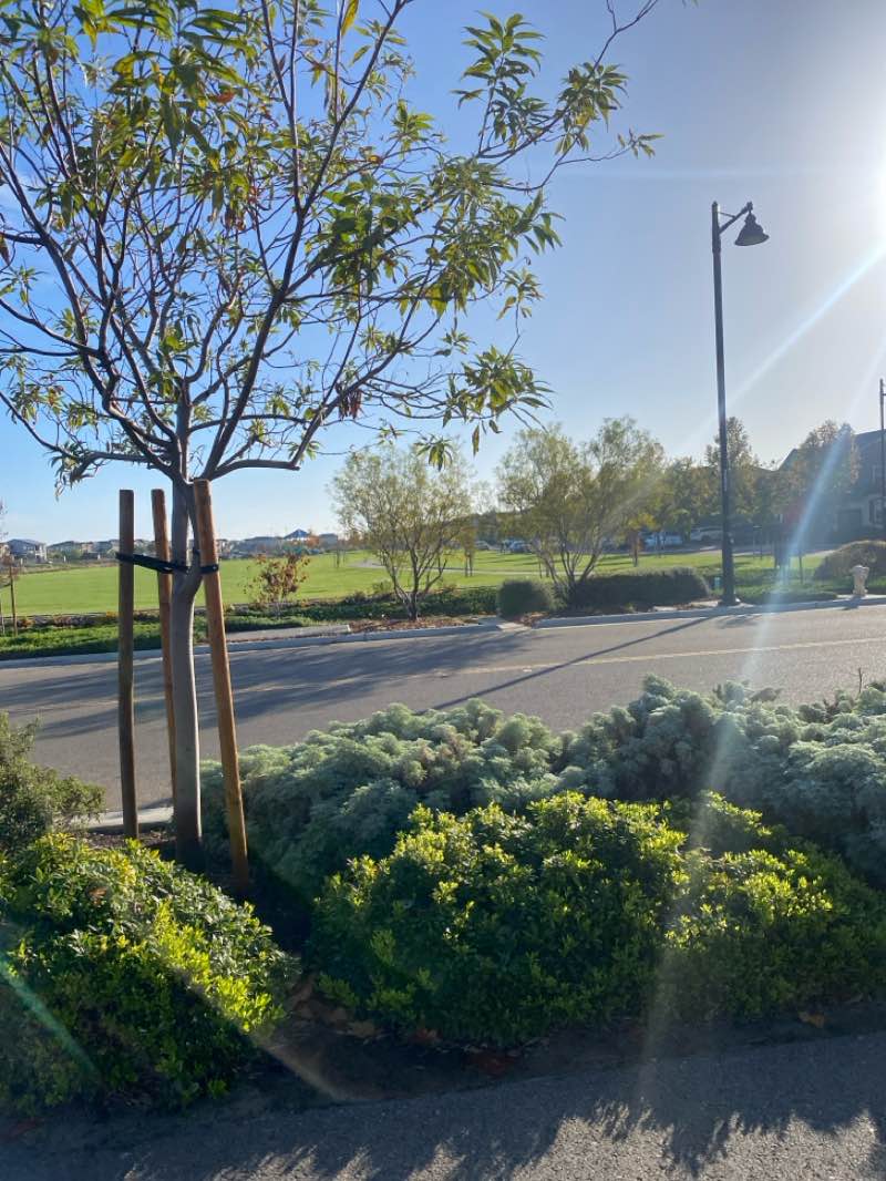 walking near me in Latitude Park in autumn