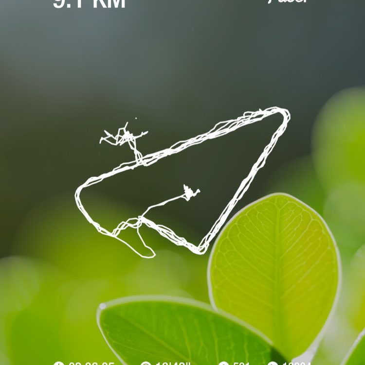 aida.heidarnejad post 1