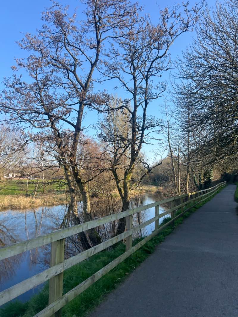 walking near me in Newbridge Town Park in spring