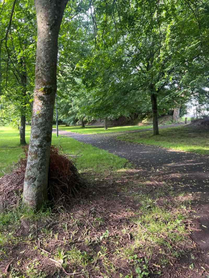 walking near me in Fair Green in summer