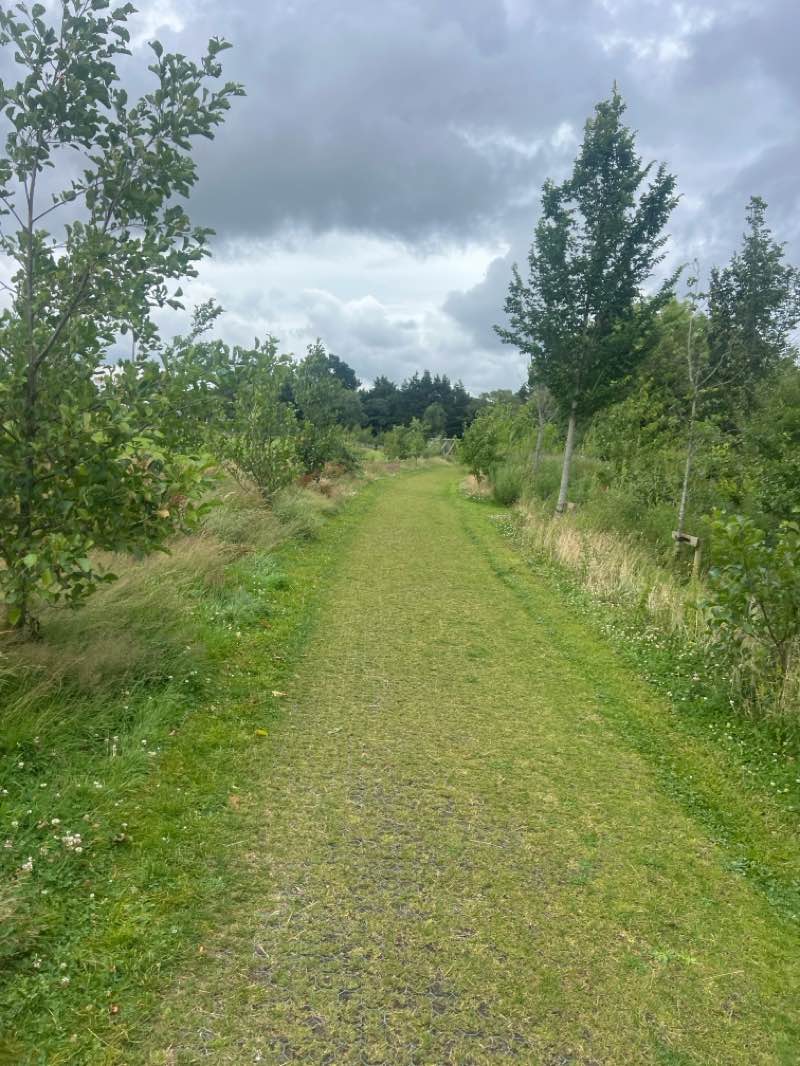 walking near me in Tandy's Park in summer